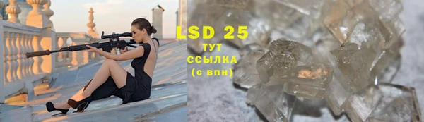 гашик Белокуриха