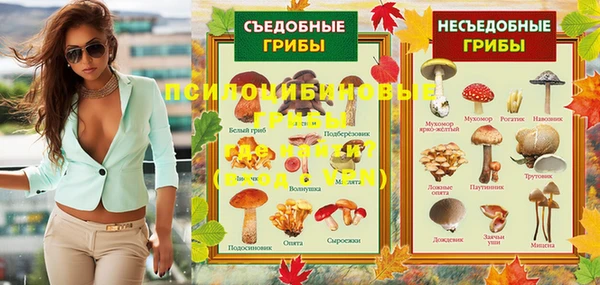 мескалин Богородск