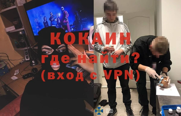 гашик Белокуриха