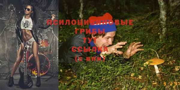 гашик Белокуриха