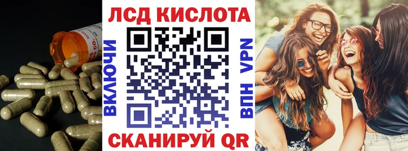 сколько стоит  Мещовск  ссылка на мегу tor  Лсд 25 экстази кислота 