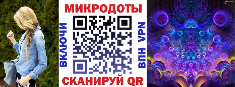 Псилоцибиновые грибы Cubensis  Мещовск 